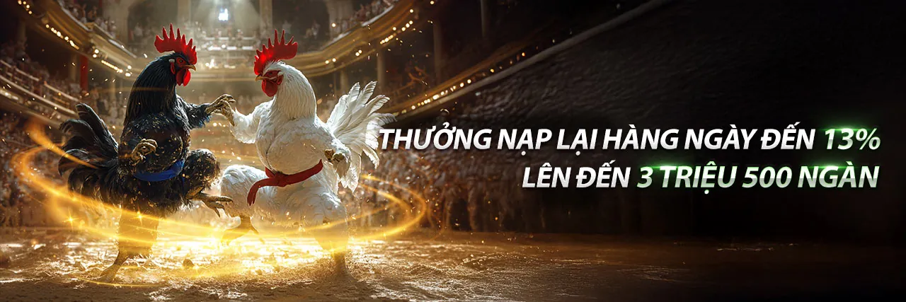 Đá Gà Trực Tiếp 24/8 Win2026